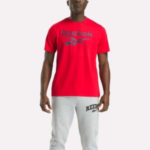 Men's Big Logo Crewneck Short Sleeve Tee