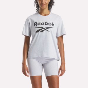 Women's Big Logo Oversized Crew Short Sleeve Tee